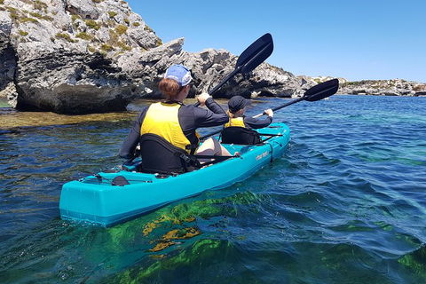 Rottnest Glass Bottom Kayaking Tour - Accommodation Ballina 4