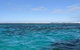 Marine Eco Safari - Swim With Manta Rays - thumb 2
