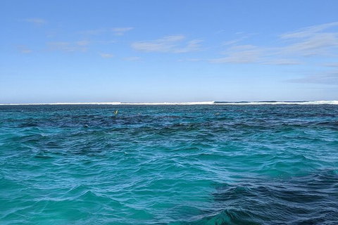 Marine Eco Safari - Swim With Manta Rays - Accommodation Ballina 2
