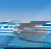 Rottnest Island Dive  Snorkel Day Trips - Accommodation Ballina