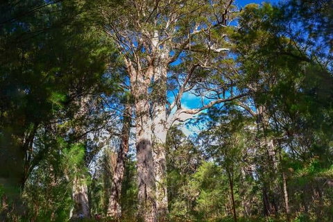 Breweries And Scenic Drive Full Day Tour - Accommodation Ballina 6