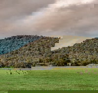 Baldwins Bluff Guided Hike - Accommodation Ballina