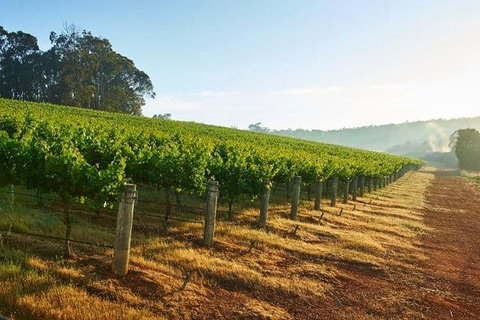 Botanical Gardens, Winery And Scenic Full Day Tour - Accommodation Ballina 2