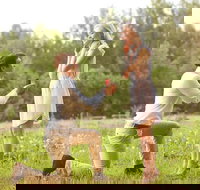 Romance Cruise  scenic Tour  beer tasting  3 course lunch  hamper - Accommodation Ballina