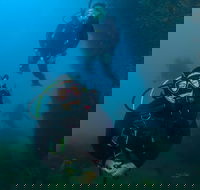 Scuba Dive The Beautiful Rottnest Island - Accommodation Ballina