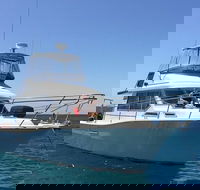 Single Boat Dive - Accommodation Ballina
