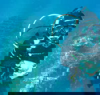 PADI Open Water Course - Accommodation Ballina