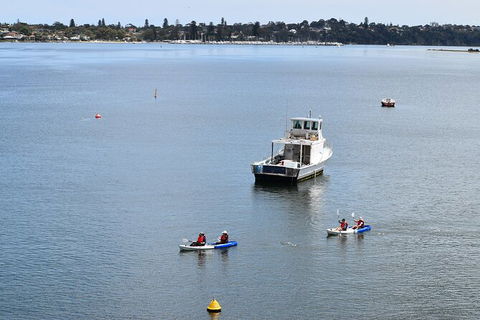 Cliffs And Caves Kayak Tour In Swan River - Accommodation Ballina 5