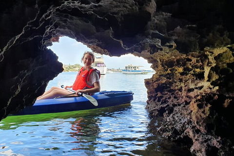 Cliffs And Caves Kayak Tour In Swan River - Accommodation Ballina 3