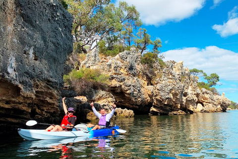 Cliffs And Caves Kayak Tour In Swan River - Accommodation Ballina 0
