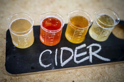 Bickley Valley Wine & Cider Tour - Premium Small Group Tour - Accommodation Ballina 1
