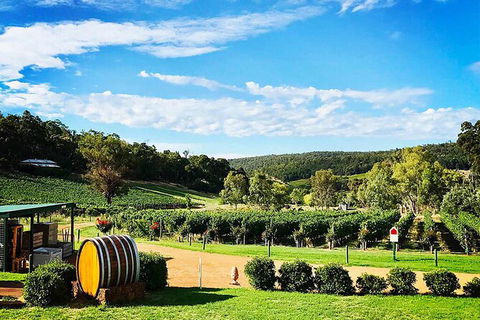 Bickley Valley Wine & Cider Tour - Premium Small Group Tour - Accommodation Ballina 0