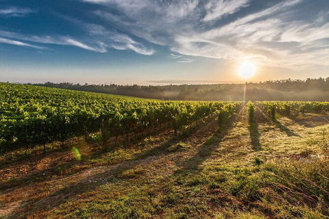 Perth To Margaret River Wine Tour - 2 Day Premium Boutique Wine Tour Experience - Accommodation Ballina 0