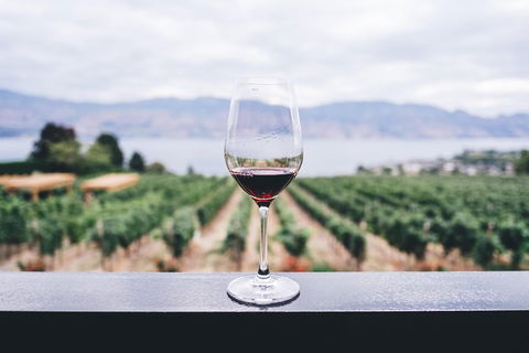 Full-Day Gourmet Wine Tour With Pick Up And Lunch - Accommodation Ballina 1