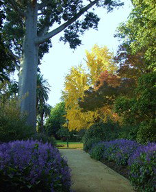 Albury Botanic Garden - Accommodation Ballina 0