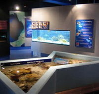 Marine and Freshwater Discovery Centre - Accommodation Ballina