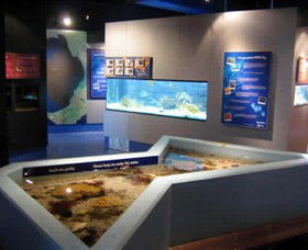 Marine And Freshwater Discovery Centre - Accommodation Ballina 0