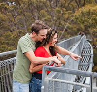 Valley of the Giants Tree Top Walk - Accommodation Ballina