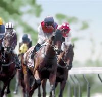 Colac Turf Club - Accommodation Ballina