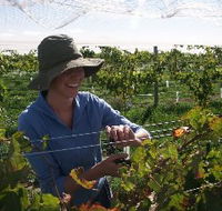 Kingsdale Wines - Accommodation Ballina