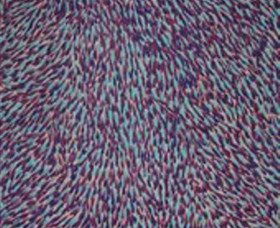 Accommodation Ballina