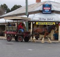 Bathurst Farm Experience - Accommodation Ballina