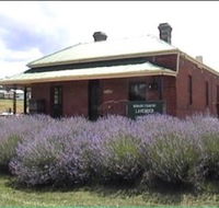 Lavender House in Railway Park - Accommodation Ballina