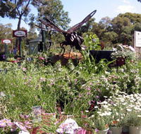 Zanthorrea Nursery - Accommodation Ballina