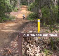 Old Timberline and Sidings Rail Trails - Accommodation Ballina