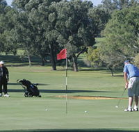 Spalding Park - Accommodation Ballina