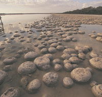 Lake Clifton Thrombolites - Accommodation Ballina
