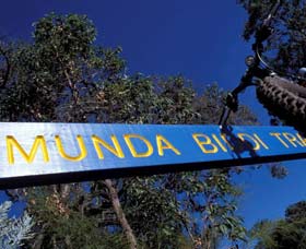 Munda Biddi Trail - Accommodation Ballina 0