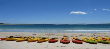 Jervis Bay Kayak & Paddlesports - Accommodation Ballina 5