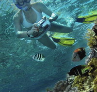 Calypso Reef Charters - Accommodation Ballina