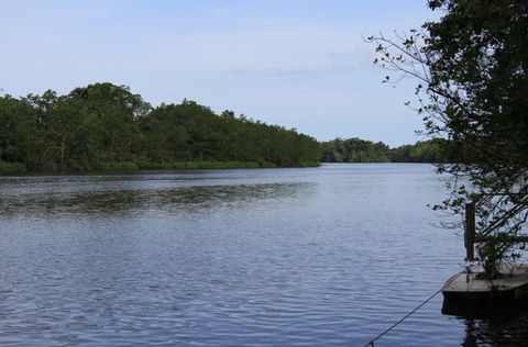 Daintree River Cruise Centre - Accommodation Ballina 2