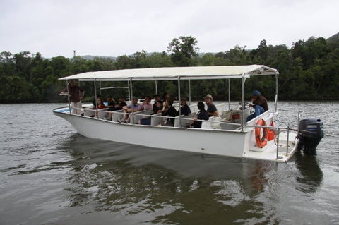 Daintree River Cruise Centre - Accommodation Ballina 3