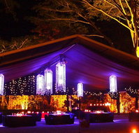 Flames Of The Forest - Accommodation Ballina