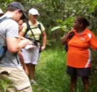 Ingan Tours - Spirit of the Rainforest Tour - Accommodation Ballina