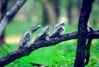 East Creek ACT Accommodation Ballina