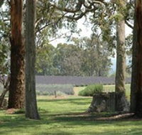Aloomba Lavender - Accommodation Ballina