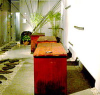 Koi - Accommodation Ballina