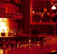 The Night Cat - Accommodation Ballina