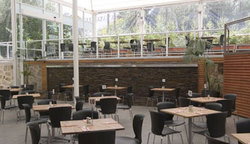 Tea Tree Gully Hotel - Accommodation Ballina 3