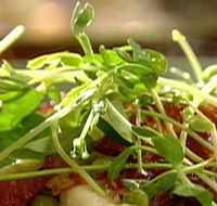 Wild Hearts Cafe Restaurant - Accommodation Ballina