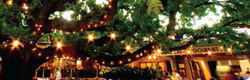 Neutral Bay NSW Accommodation Ballina