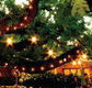 The Oaks - Accommodation Ballina