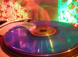 Syrup Nightclub - Accommodation Ballina 3