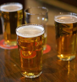 Plough Inn Hotel - Accommodation Ballina 2