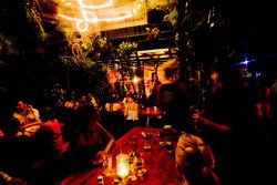 Greenant Cantina - Accommodation Ballina 2