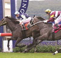 Gosford Race Club - Accommodation Ballina